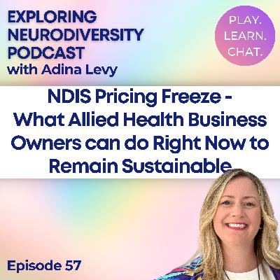 NDIS Pricing Freeze - What Allied Health Business Owners can do Right Now to Remain Sustainable