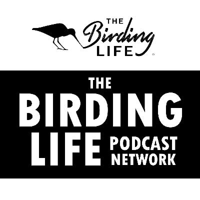 TBL Podcast Season 12 Episode 4 - Ndumo Game Reserve: Is One of SA’s Top Birding Spots Still Worth It?