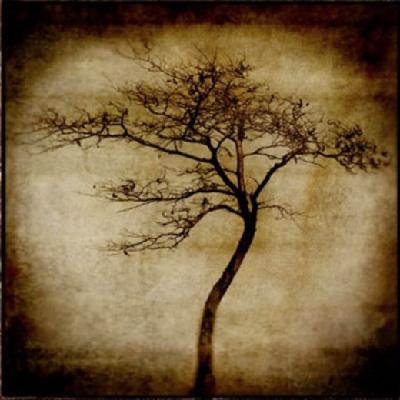 Kan meningsbrist skapa utbrändhet?