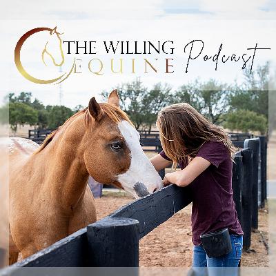 Ep 52 // Helping Horses Adjust To Turnout