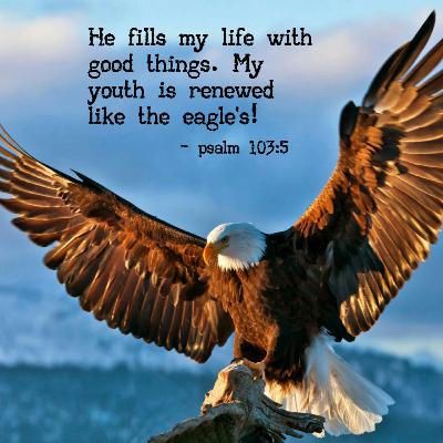 Scripture Reading- Psalm 103