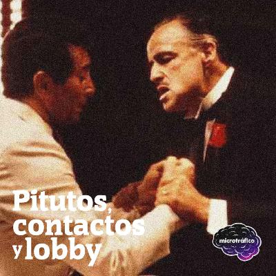 Pitutos, contactos y lobby Pitutos, contactos y lobby