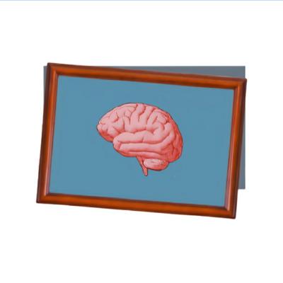 #2. A Slightly Unorganized Episode