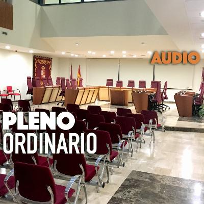 Pleno Ordinario del 27/03/2025 Pleno Ordinario del 27/03/2025