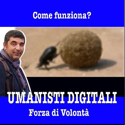 Che cos'è la forza di volontà?
