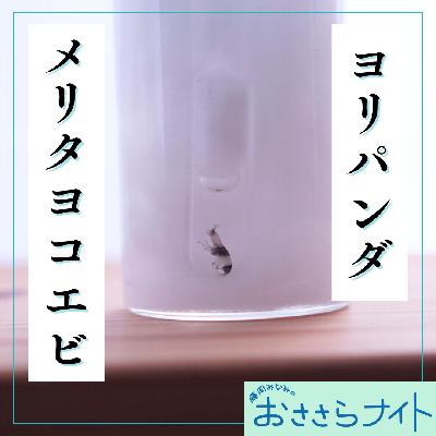 ＜ＯＡ＞２０２５年１１月１５日放送