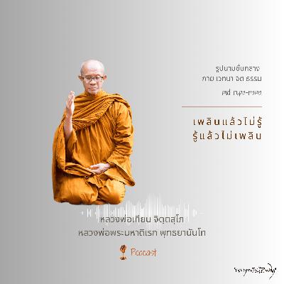 เพลินแล้วไม่รู้ รู้แล้วไม่เพลิน เพลินแล้วไม่รู้ รู้แล้วไม่เพลิน