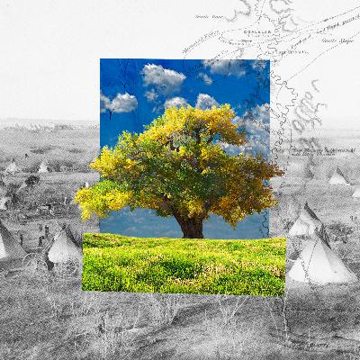 A Chance for Healing, 170 Years After a Lakota Massacre