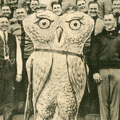The Best of DI.... Another General Quiz / Sammy the Owl is GONE