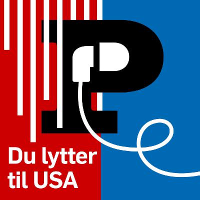 Sådan endte Musk og Trump i slåskamp og anklager om pædofili