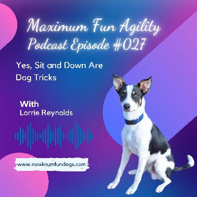 Yes, Sit and Down are Dog Tricks! Yes, Sit and Down are Dog Tricks!