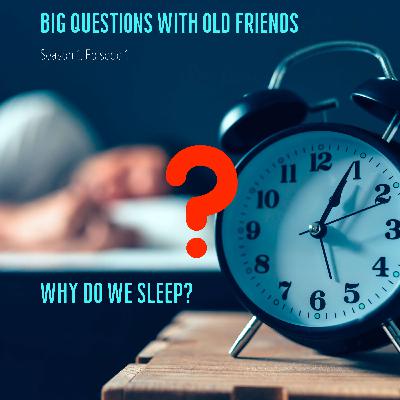 S01E01 - Why do we sleep?