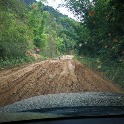 Vol.39 普洱茶的山头时代:冰岛古树茶的崛起故事 Vol.39 普洱茶的山头时代:冰岛古树茶的崛起故事