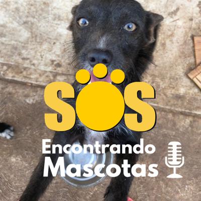 04 - Poly vivió en un taller mecánico durante 1 mes 🗓🐶