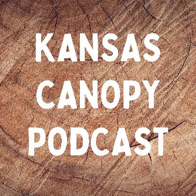 Ticks in Kansas: Risks, Prevention & Awareness