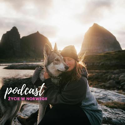 #62 Vanlife w Norwegii: Rozmowy z Pauliną Wierzgacz