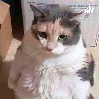 Desarrollo de video juegos