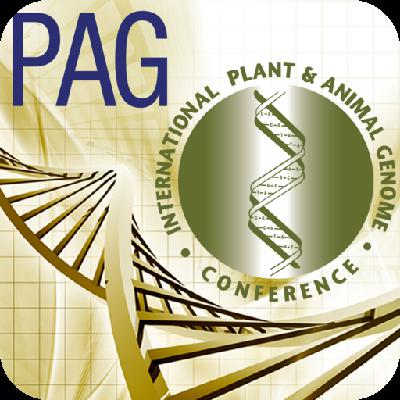 Darrin Scherago: assembling PAG Darrin Scherago: assembling PAG