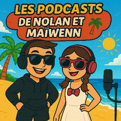 Les dauphins 🐬