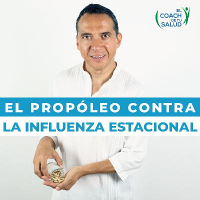 El Propóleo contra la influenza estacional