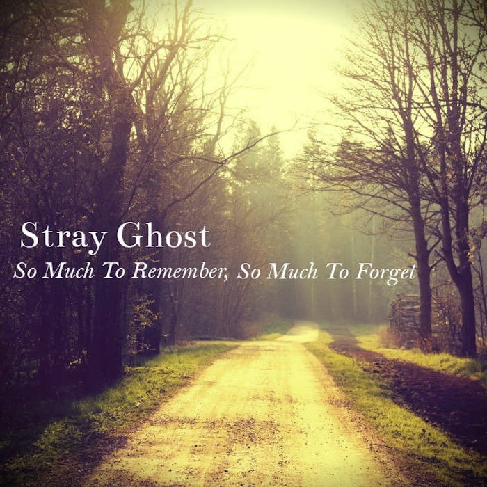 🦋We Spoke Too Soon – Stray Ghost🦋
