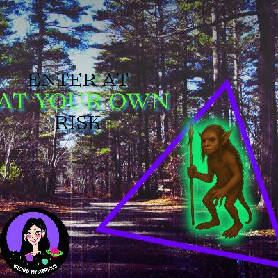 Freetown State Forest: Inside the Bridgewater Triangle’s Most Haunted Forest Freetown State Forest: Inside the Bridgewater Triangle’s Most Haunted Forest