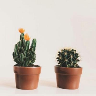 Menerima Kesakitan Menerima Kesakitan