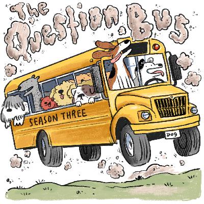 The Question Bus: 87 - Montreal International Game Summit Indies