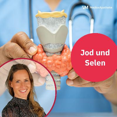 Jod und Selen: Mikronährstoffe mit Superkraft für deine Gesundheit und Schlüssel zur Hormonbalance
