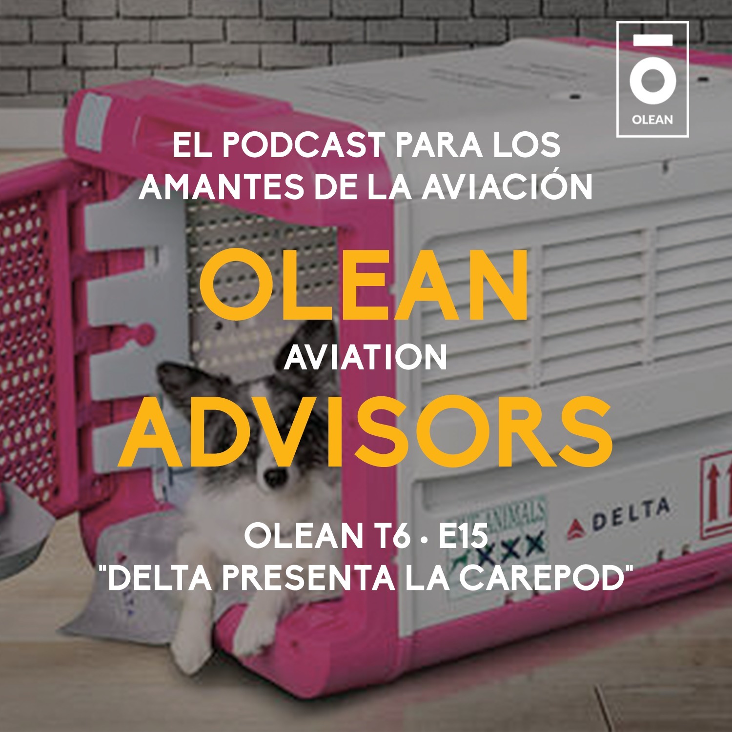 T6 · E15 - Delta presenta la CarePod episode artwork