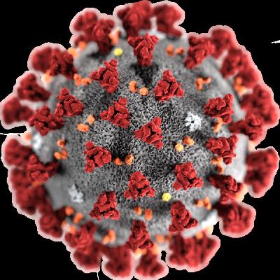 Novel Corona Virus (nCoV): nuova peste, prova dell'umanità