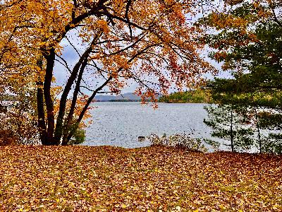 On Golden Pond: Visiting New Hampshire on our Way to Portugal