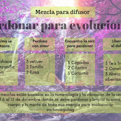 “Perdonar para evolucionar” ayudado del oráculo esencial