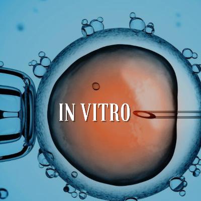 Fertilização in Vitro