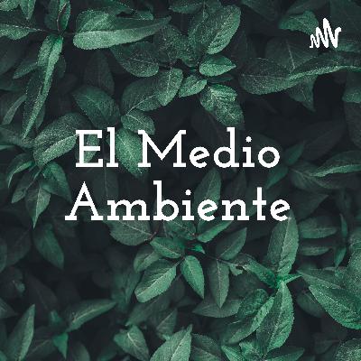 Que podemos hacer para ayudar al medio ambiente ?