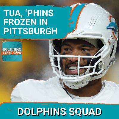 DOLPHINS SQUAD: MIAMI DOLPHINS ICE-COLD at Pittsburgh, 3-GAME WIN STREAK ENDS w/ 28-15 L TO STEELERS DOLPHINS SQUAD: MIAMI DOLPHINS ICE-COLD at Pittsburgh, 3-GAME WIN STREAK ENDS w/ 28-15 L TO STEELERS