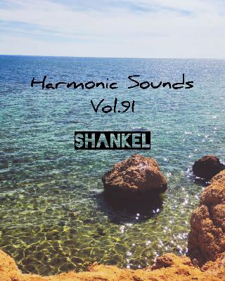 Shankel - Harmonic Sounds 91 #91