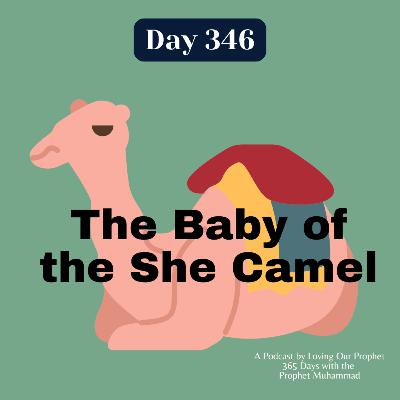 Day 346 - The Baby of the She Camel