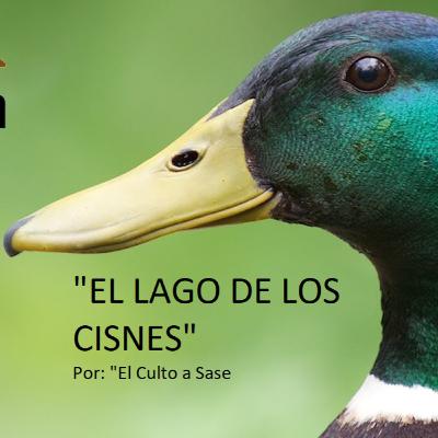 EL LAGO DE LOS CISNES PRESENTADO POR "EL CULTO A SASE"
