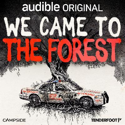 Introducing: We Came To The Forest