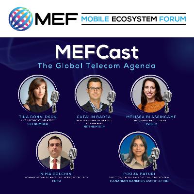 MEFCast: The Billion-Dollar Blind Spot: Why Data Silos Are Fueling Fraud