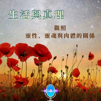 生活與真理--觀照靈性、靈魂與肉體的關係 生活與真理--觀照靈性、靈魂與肉體的關係