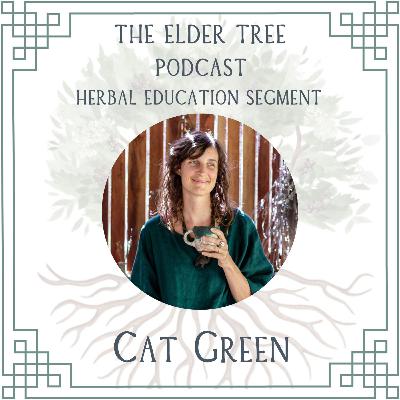 160. Chamomile- Gentle Doesn't Mean Weak: Cat Green on Herbal Education 160. Chamomile- Gentle Doesn't Mean Weak: Cat Green on Herbal Education