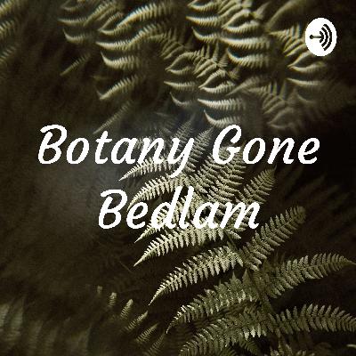 Episode 5 - The Green Fairy....Sort of - Worm Wood Episode 5 - The Green Fairy....Sort of - Worm Wood