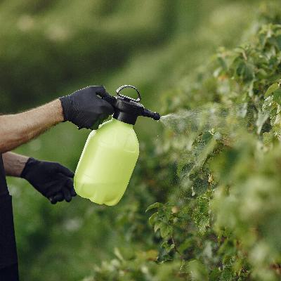 PCC é alvo de investigação em setor que responde por até 25% dos agrotóxicos ilegais no Brasil