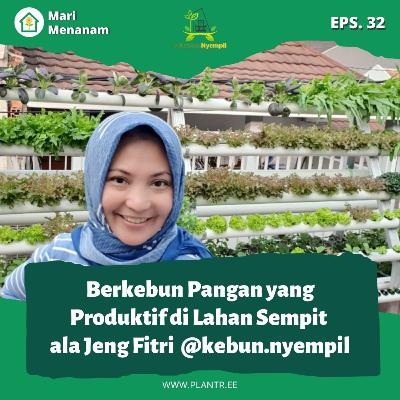 MM 32: Berkebun Hidroponik Produktif di Lahan Sempit ala Jeng Fitri @kebun.nyempil
