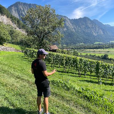 Lauber Weine (Switzerland, Graubünden) - Cool Climate Wine Summit Exhibitor Interviews