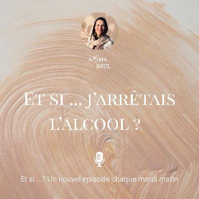 Et si j'arrêtais l'alcool ? Et si j'arrêtais l'alcool ?