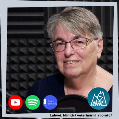 Jak se chovat se psem v lese