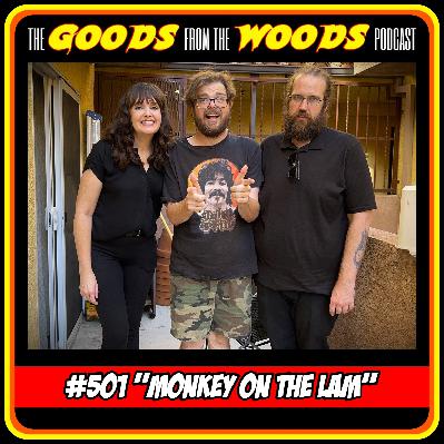 Episode #501 - "Monkey on the Lam" with Kym Kral Episode #501 - "Monkey on the Lam" with Kym Kral